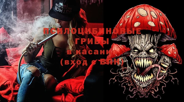 молекула духа Аркадак