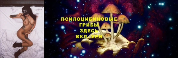тгк Арсеньев