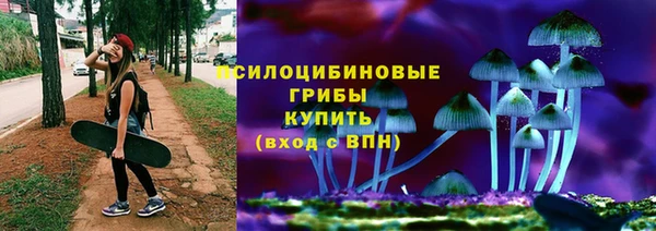 тгк Арсеньев