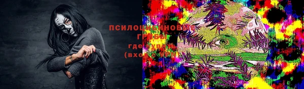 тгк Арсеньев